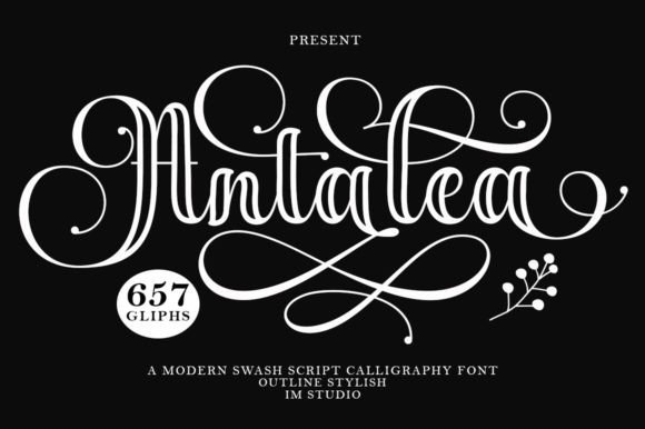 Antalea Outline Font for Elegant Maker Branding