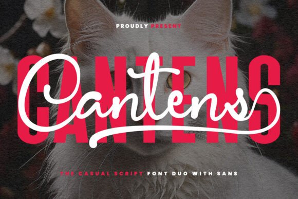 Cantens Font Review: Stylish Script for Campaigns