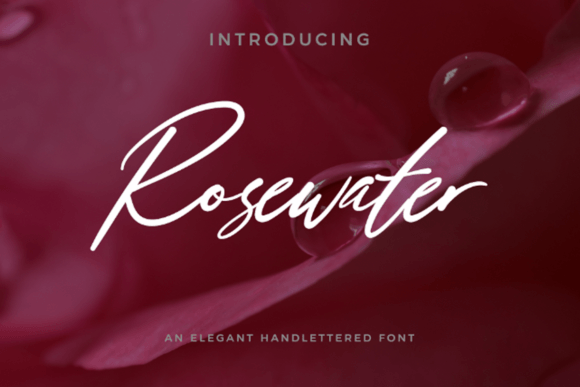 Rosewater Font Review: Elevating Campaign Visuals with Sophisticated Script